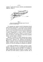 giornale/TO00180507/1908/unico/00000049