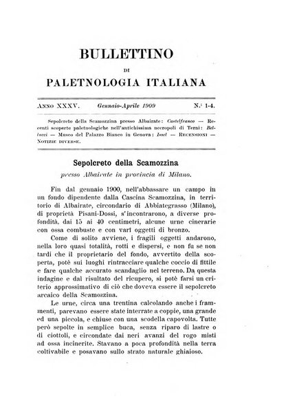 Bullettino di paletnologia italiana