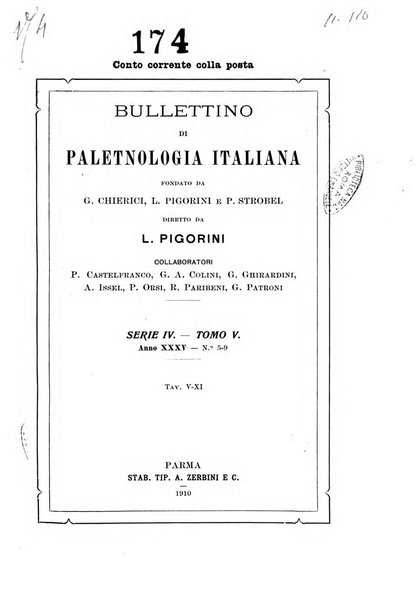 Bullettino di paletnologia italiana