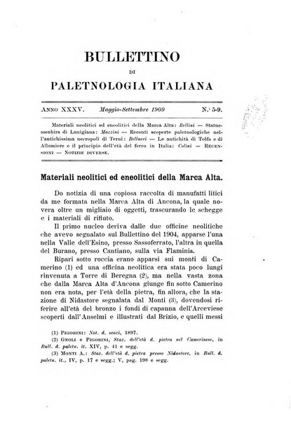 Bullettino di paletnologia italiana