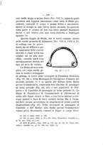 giornale/TO00180507/1910/V.35/00000221