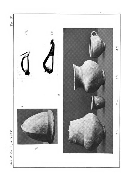 Bullettino di paletnologia italiana