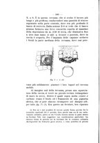 giornale/TO00180507/1910/V.36/00000208
