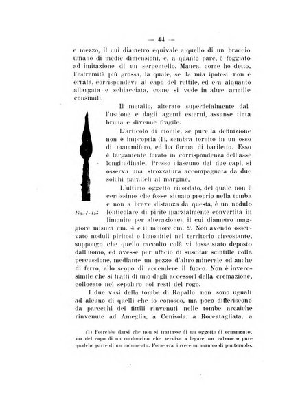 Bullettino di paletnologia italiana