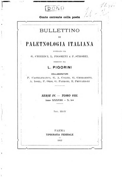 Bullettino di paletnologia italiana