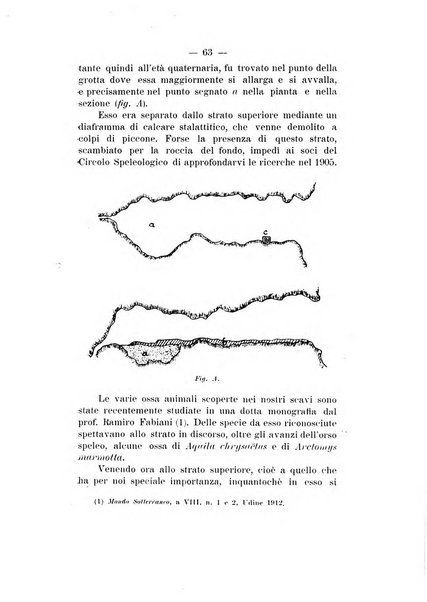 Bullettino di paletnologia italiana