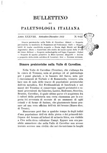 Bullettino di paletnologia italiana