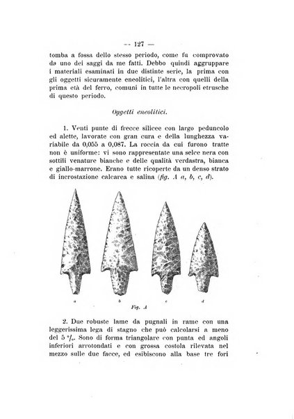 Bullettino di paletnologia italiana