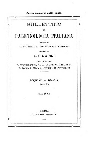 Bullettino di paletnologia italiana