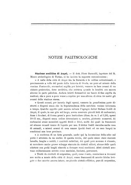 Bullettino di paletnologia italiana