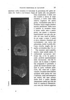 giornale/TO00180507/1926/unico/00000059