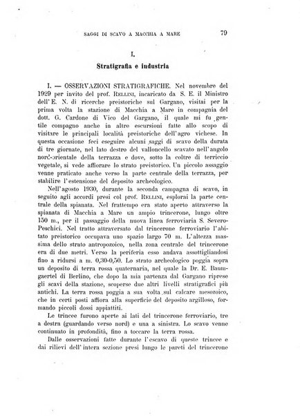 Bullettino di paletnologia italiana