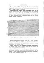 giornale/TO00180507/1930-1932/unico/00000142