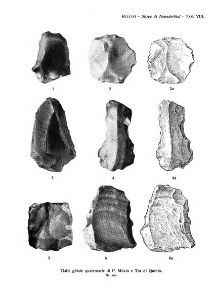 Bullettino di paletnologia italiana