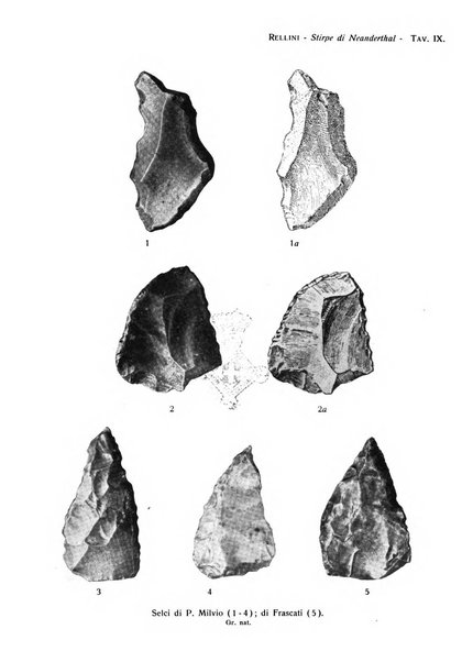 Bullettino di paletnologia italiana