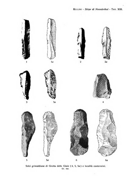 Bullettino di paletnologia italiana