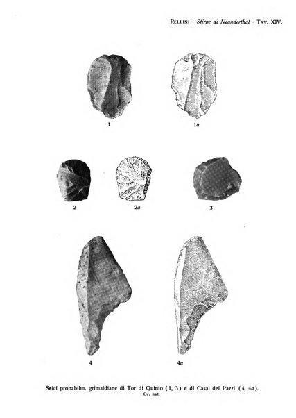 Bullettino di paletnologia italiana