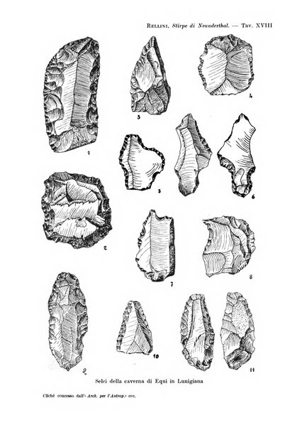 Bullettino di paletnologia italiana