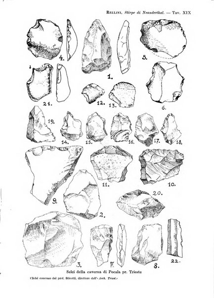 Bullettino di paletnologia italiana