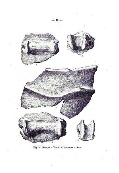 Bullettino di paletnologia italiana