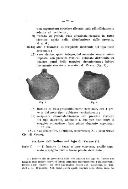 Bullettino di paletnologia italiana