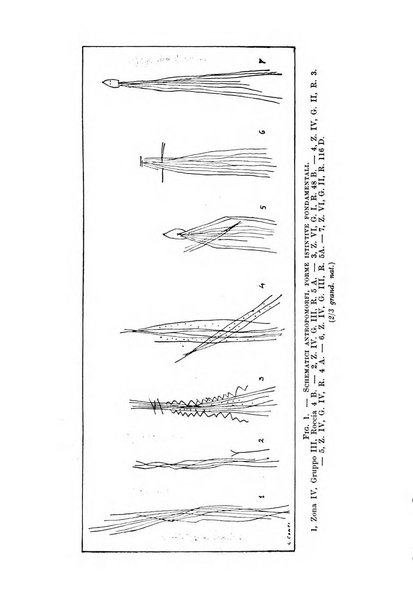 Bullettino di paletnologia italiana