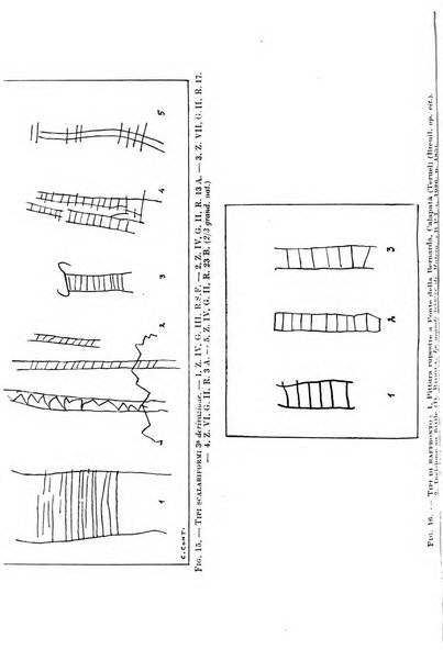 Bullettino di paletnologia italiana