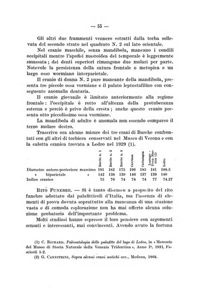 Bullettino di paletnologia italiana