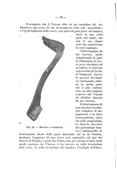 Bullettino di paletnologia italiana