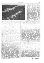 giornale/TO00180802/1929/unico/00000163