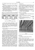 giornale/TO00180802/1934/unico/00000289