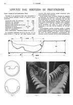 giornale/TO00180802/1934/unico/00000542