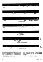 giornale/TO00180802/1941-1942/unico/00000028