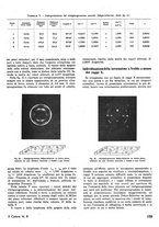 giornale/TO00180802/1941-1942/unico/00000197