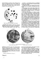 giornale/TO00180802/1942-1943/unico/00000043