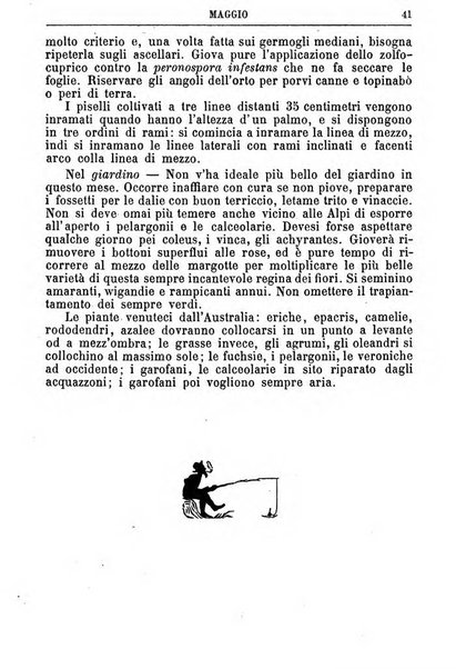 Il campagnuolo almanacco strenna agricolo letterario illustrato