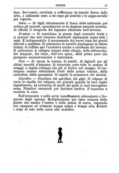 Il campagnuolo almanacco strenna agricolo letterario illustrato