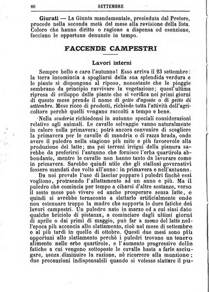 Il campagnuolo almanacco strenna agricolo letterario illustrato