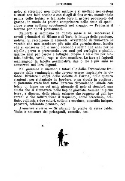 Il campagnuolo almanacco strenna agricolo letterario illustrato