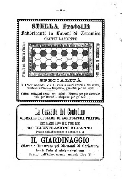 Il campagnuolo almanacco strenna agricolo letterario illustrato