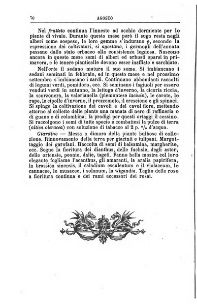 Il campagnuolo almanacco strenna agricolo letterario illustrato