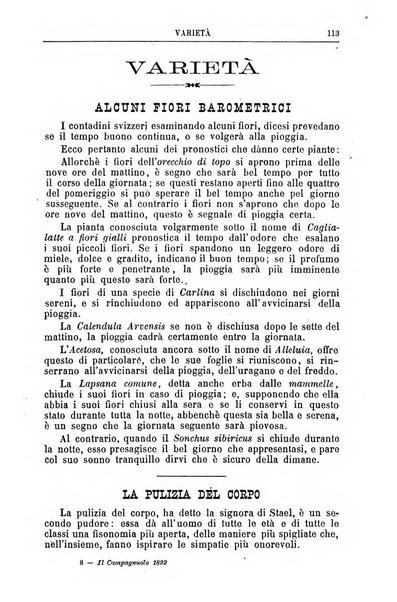 Il campagnuolo almanacco strenna agricolo letterario illustrato