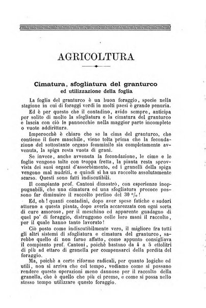 Il campagnuolo almanacco strenna agricolo letterario illustrato