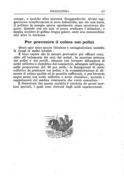 Il campagnuolo almanacco strenna agricolo letterario illustrato