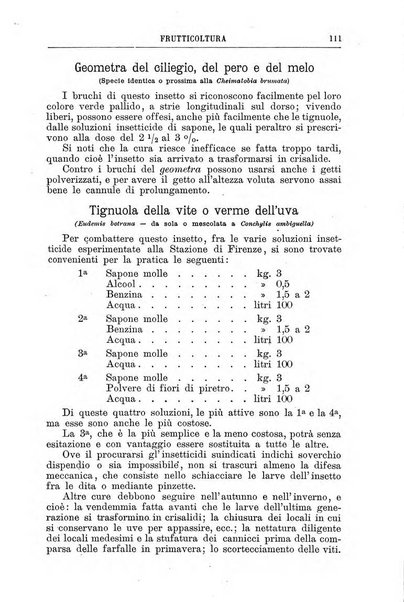 Il campagnuolo almanacco strenna agricolo letterario illustrato