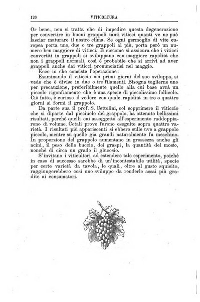 Il campagnuolo almanacco strenna agricolo letterario illustrato