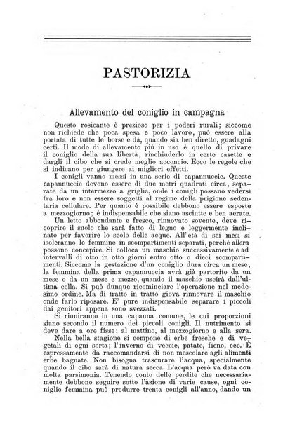 Il campagnuolo almanacco strenna agricolo letterario illustrato