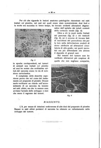 Il Cancro rivista trimestrale del centro per lo studio, diagnosi e cura dei tumori