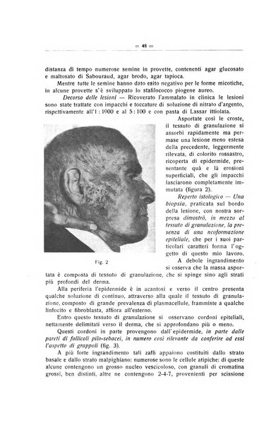 Il Cancro rivista trimestrale del centro per lo studio, diagnosi e cura dei tumori