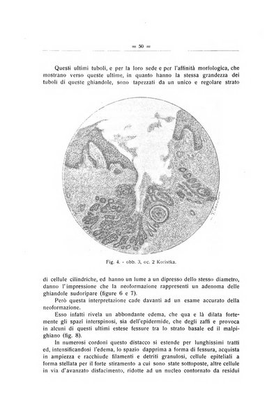 Il Cancro rivista trimestrale del centro per lo studio, diagnosi e cura dei tumori